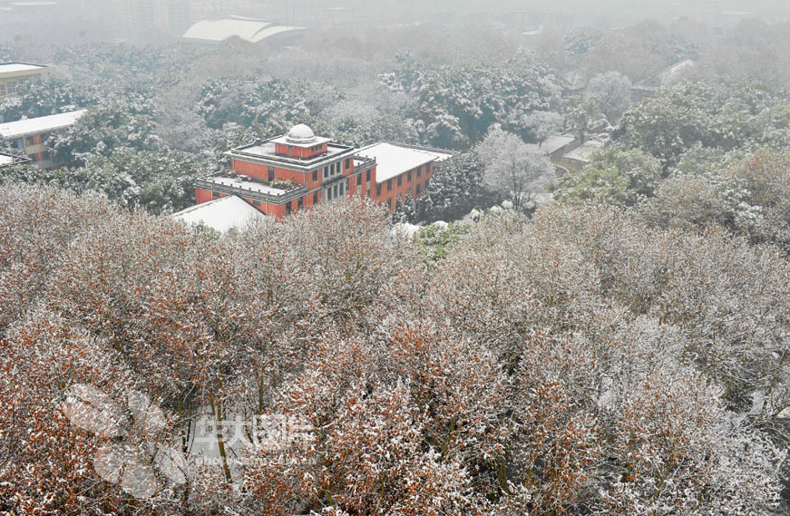 Department of International Affairs